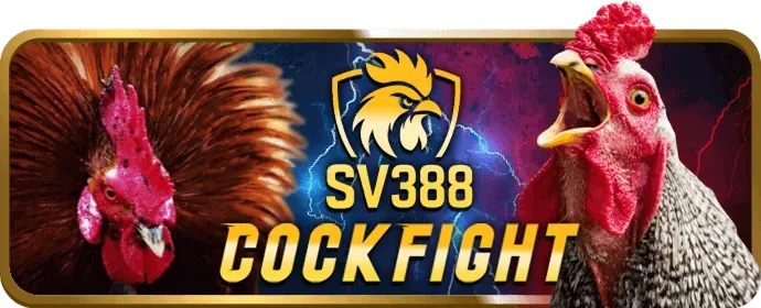 Minh họa các lợi ích khi chọn t88 login